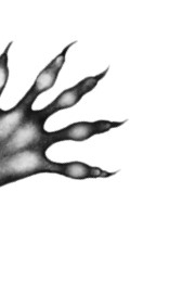 Иллюстрация к книге — Тайна Холли [i_019.jpg]