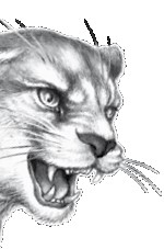 Иллюстрация к книге — Тайна Холли [i_024.jpg]