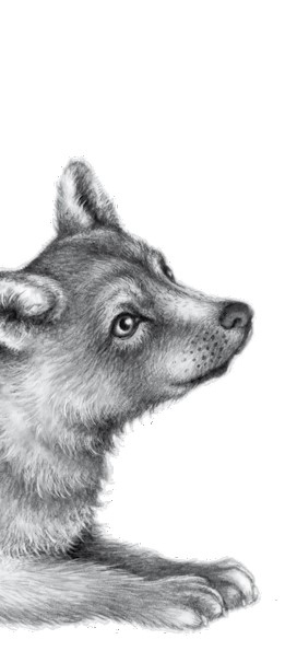 Иллюстрация к книге — Тайна Холли [i_027.jpg]