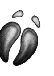 Иллюстрация к книге — Тайна Холли [i_033.jpg]