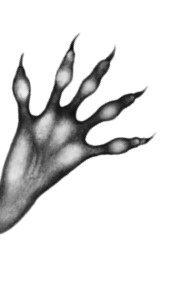 Иллюстрация к книге — Тайна Холли [i_037.jpg]