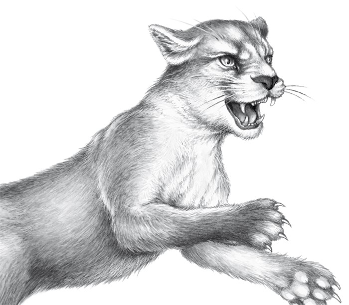 Иллюстрация к книге — Тайна Холли [i_038.jpg]