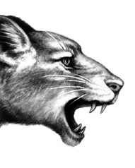 Иллюстрация к книге — Тайна Холли [i_041.jpg]