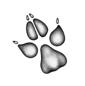 Иллюстрация к книге — Тайна Холли [i_042.jpg]