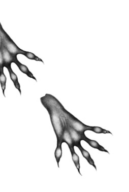 Иллюстрация к книге — Тайна Холли [i_046.jpg]