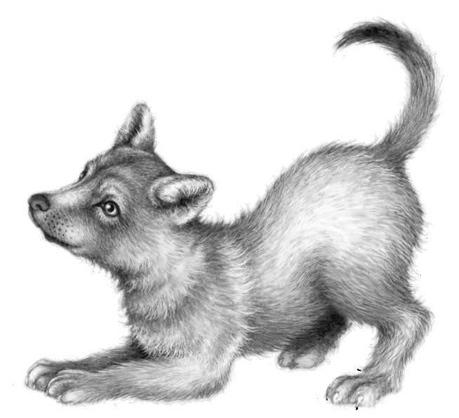 Иллюстрация к книге — Тайна Холли [i_051.jpg]