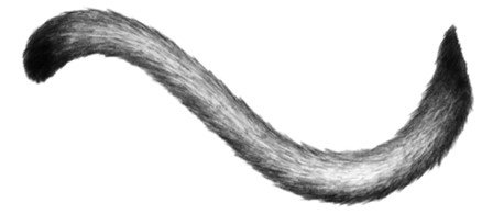 Иллюстрация к книге — Тайна Холли [i_052.jpg]