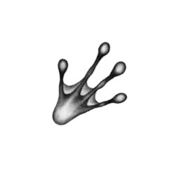 Иллюстрация к книге — Тайна Холли [i_053.jpg]