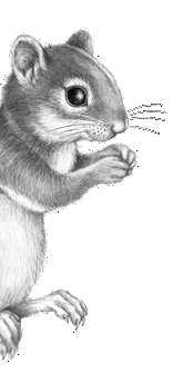 Иллюстрация к книге — Тайна Холли [i_058.jpg]