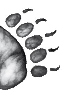 Иллюстрация к книге — Тайна Холли [i_061.jpg]