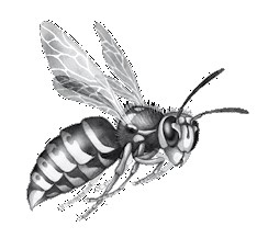 Иллюстрация к книге — Тайна Холли [i_067.jpg]