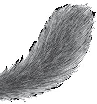 Иллюстрация к книге — Тайна Холли [i_068.jpg]