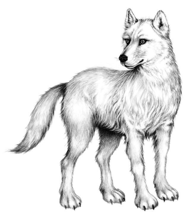 Иллюстрация к книге — Тайна Холли [i_071.jpg]