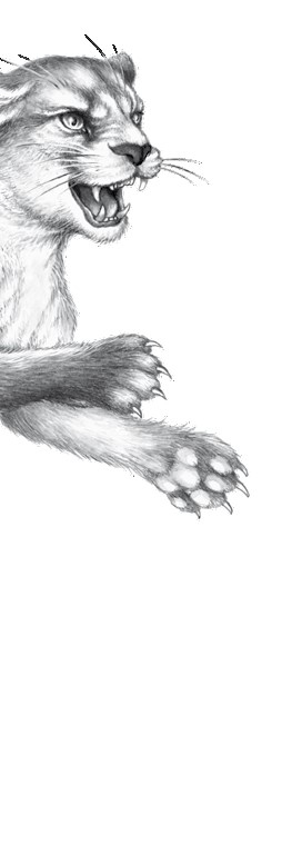 Иллюстрация к книге — Тайна Холли [i_076.jpg]