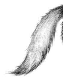 Иллюстрация к книге — Тайна Холли [i_082.jpg]