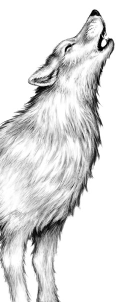 Иллюстрация к книге — Тайна Холли [i_083.jpg]