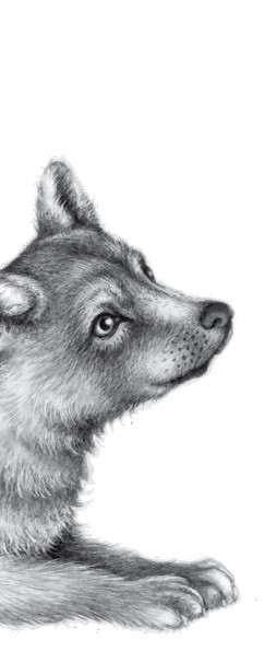 Иллюстрация к книге — Тайна Холли [i_084.jpg]