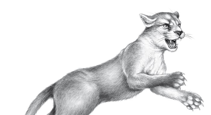 Иллюстрация к книге — Тайна Холли [i_086.jpg]