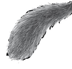 Иллюстрация к книге — Тайна Холли [i_089.jpg]