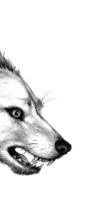 Иллюстрация к книге — Тайна Холли [i_094.jpg]