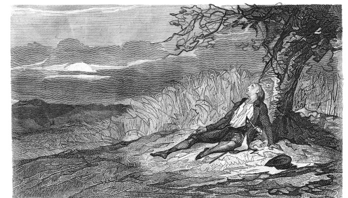 Иллюстрация к книге — История Французской революции. Том 2 [i_010.jpg]