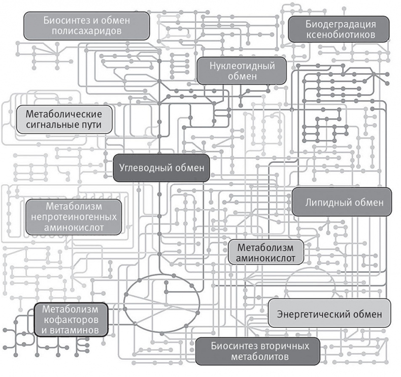 Иллюстрация к книге — Перерастая бога. Пособие для начинающих [i_002.jpg]