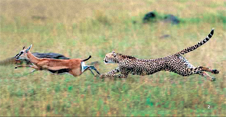 Иллюстрация к книге — Перерастая бога. Пособие для начинающих [i_010.jpg]