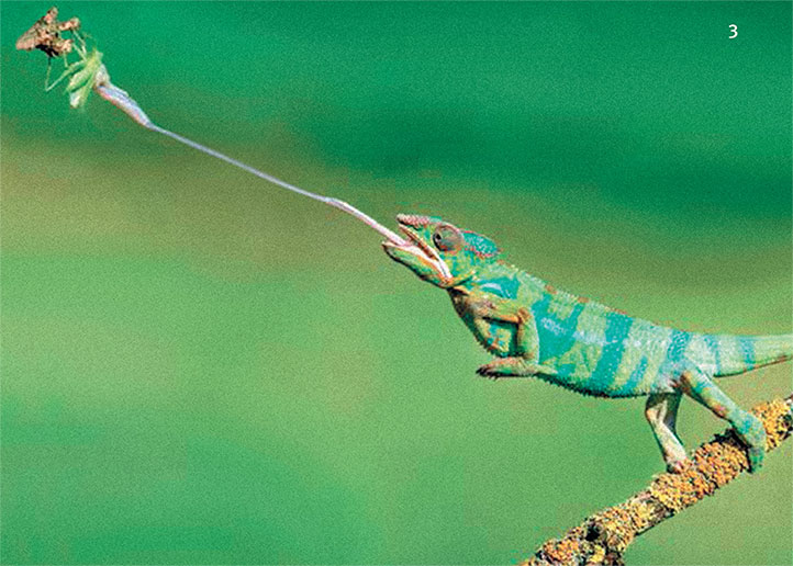 Иллюстрация к книге — Перерастая бога. Пособие для начинающих [i_011.jpg]