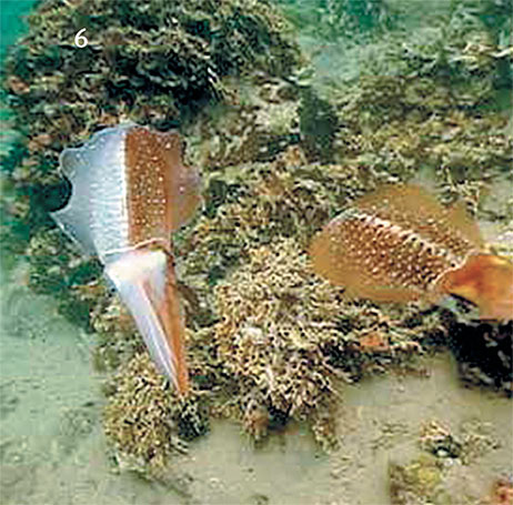 Иллюстрация к книге — Перерастая бога. Пособие для начинающих [i_014.jpg]