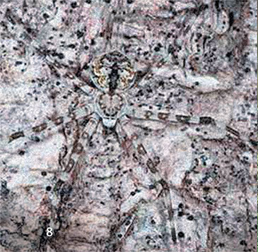 Иллюстрация к книге — Перерастая бога. Пособие для начинающих [i_016.jpg]