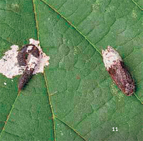 Иллюстрация к книге — Перерастая бога. Пособие для начинающих [i_019.jpg]