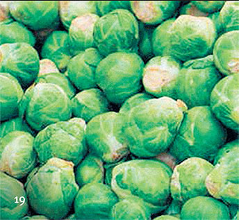 Иллюстрация к книге — Перерастая бога. Пособие для начинающих [i_027.jpg]