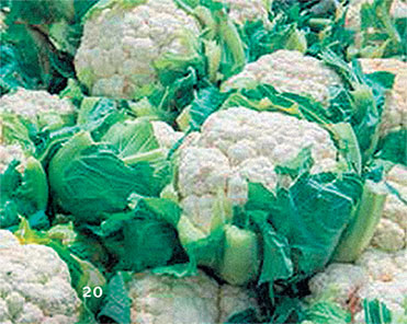 Иллюстрация к книге — Перерастая бога. Пособие для начинающих [i_028.jpg]