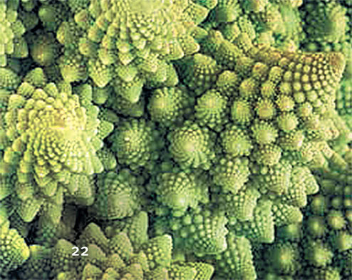 Иллюстрация к книге — Перерастая бога. Пособие для начинающих [i_030.jpg]