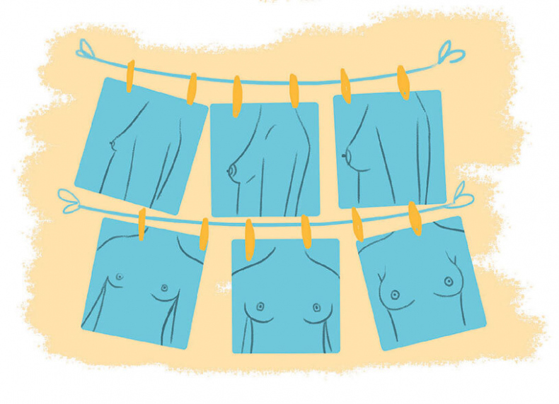 Иллюстрация к книге — Как устроены девочки. Об изменениях фигуры, внешности, перепадах настроения, а также о гигиене и питании [i_012.jpg]