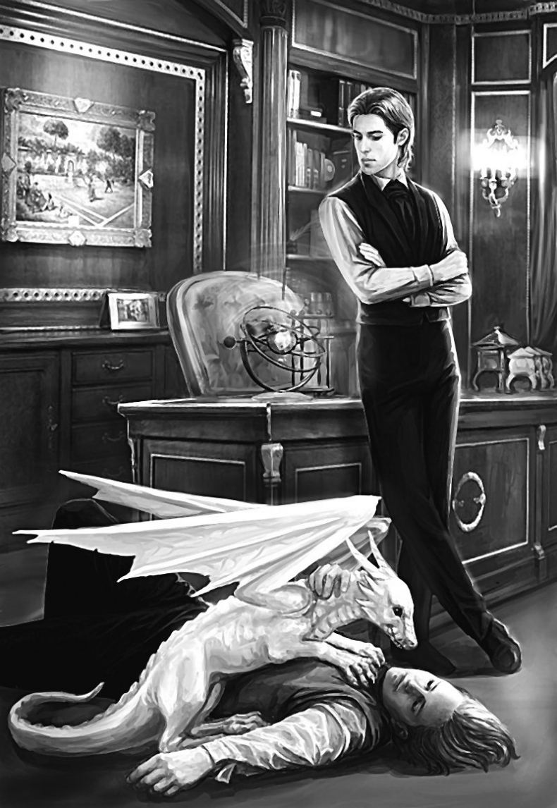 Иллюстрация к книге — Академия драконьих всадников [i_001.jpg]