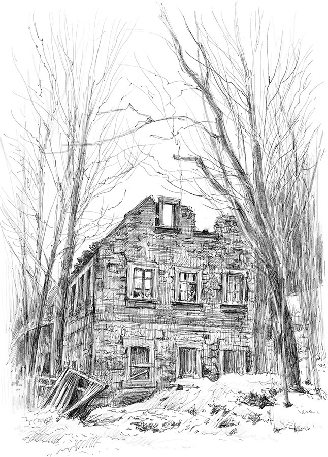 Иллюстрация к книге — Лес. Как устроена лесная экосистема [i_007.jpg]