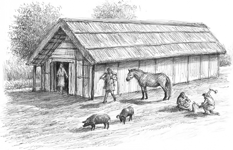 Иллюстрация к книге — Лес. Как устроена лесная экосистема [i_013.jpg]