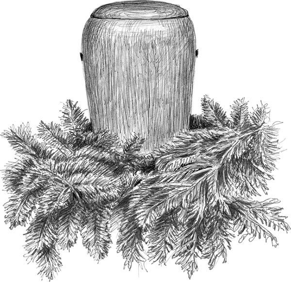 Иллюстрация к книге — Лес. Как устроена лесная экосистема [i_018.jpg]