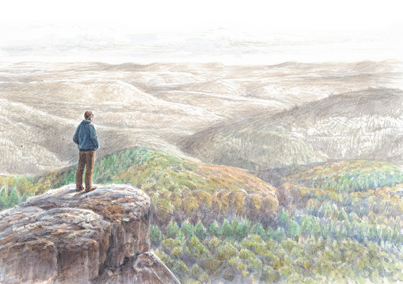 Иллюстрация к книге — Лес. Как устроена лесная экосистема [i_060.jpg]