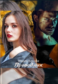 Книга Проводник