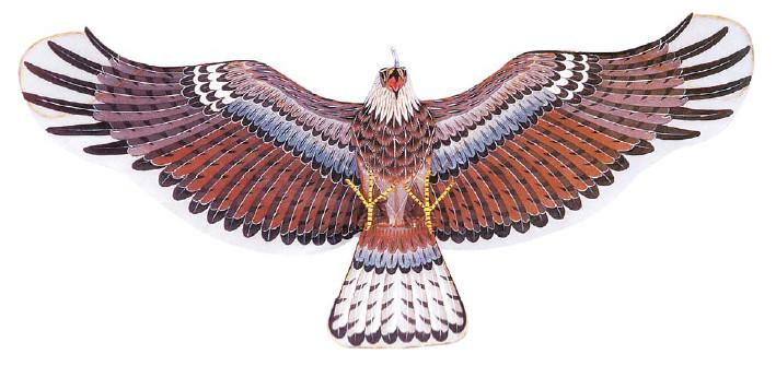 Иллюстрация к книге — Воздушные змеи [i_011.jpg]