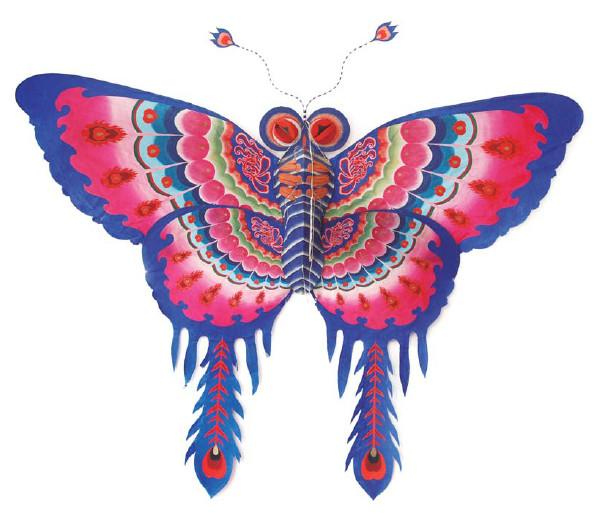 Иллюстрация к книге — Воздушные змеи [i_045.jpg]