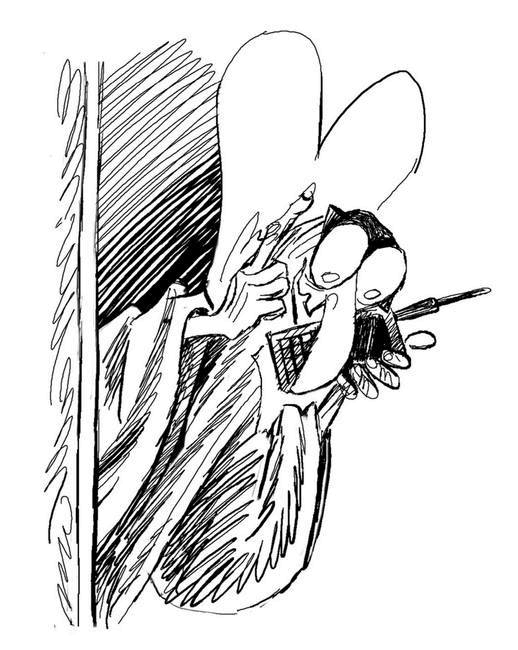 Иллюстрация к книге — Король Пиф-Паф, или Сказка про Ивана-Не-Великана [i_029.jpg]