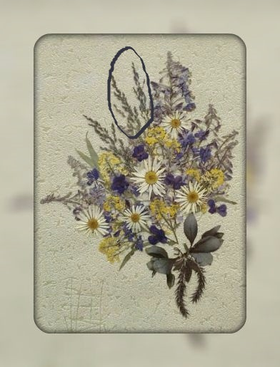 Иллюстрация к книге — Из двух зол [_002.jpg]