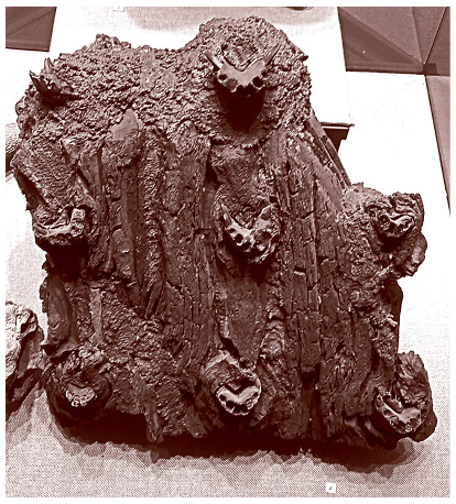 Иллюстрация к книге — Славянские мифы. От Велеса и Мокоши до птицы Сирин и Ивана Купалы [i_023.jpg]