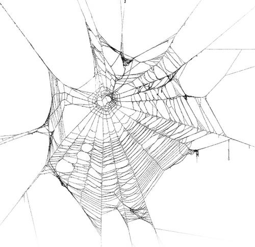 Иллюстрация к книге — Песнь призрачного леса [i_001.jpg]