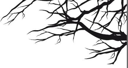 Иллюстрация к книге — Песнь призрачного леса [i_006.jpg]