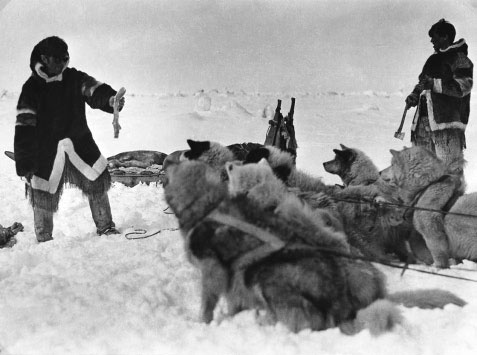 Иллюстрация к книге — Белый эскимос [i_013.jpg]