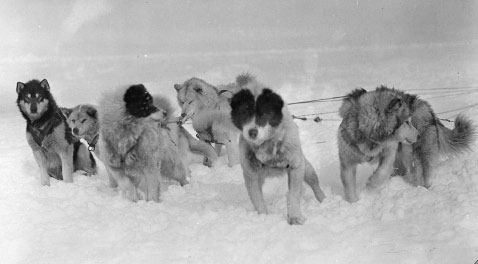 Иллюстрация к книге — Белый эскимос [i_025.jpg]